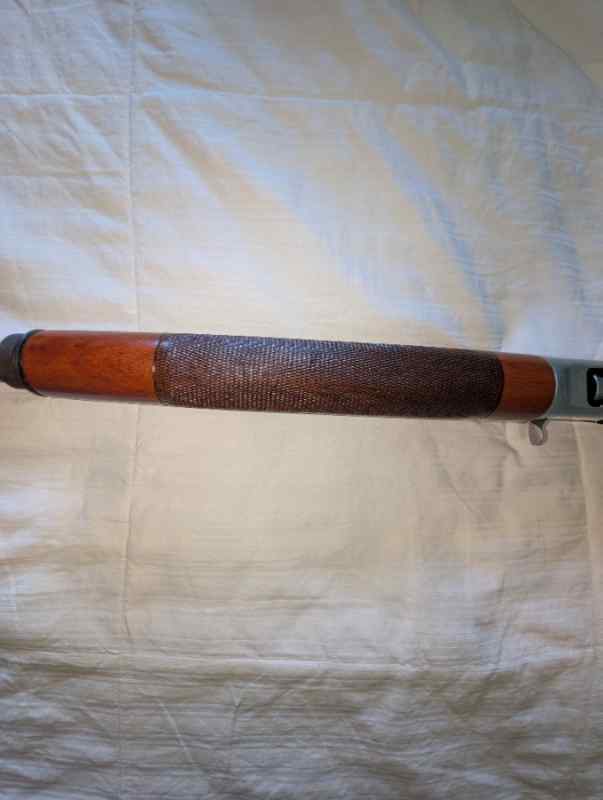 2160.jpg