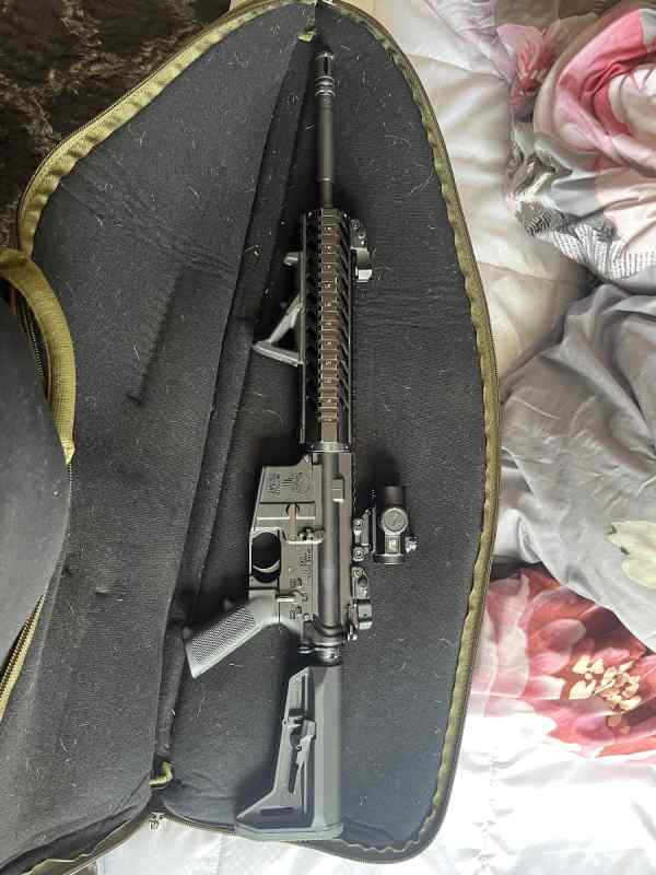 Spikes punisher AR with extras