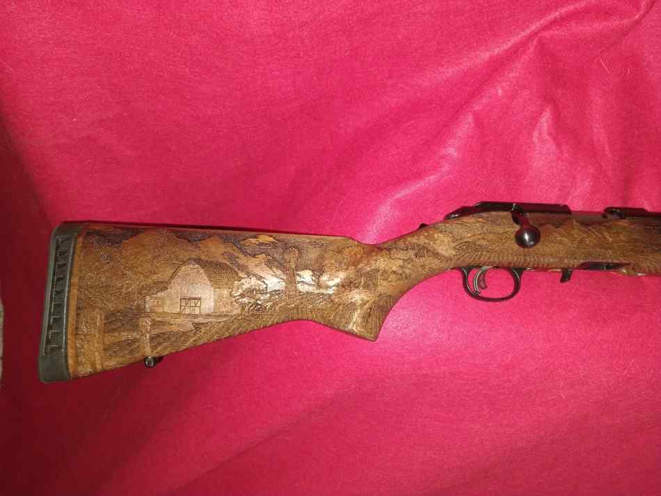 Ruger american farmer